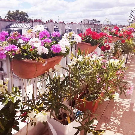 Floor & Terrace With View Appartement
