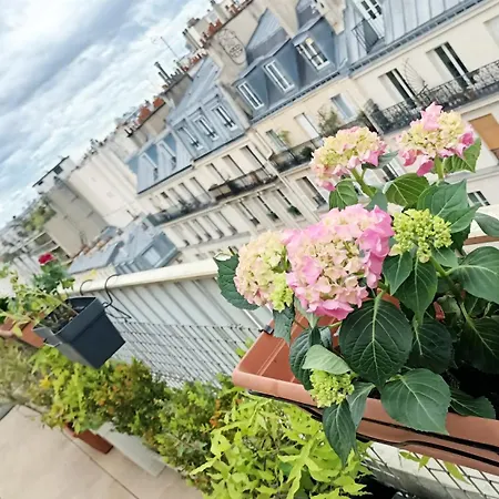 Floor & Terrace With View Apartment Paris